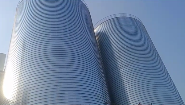 电白2座混凝土高架卷板仓